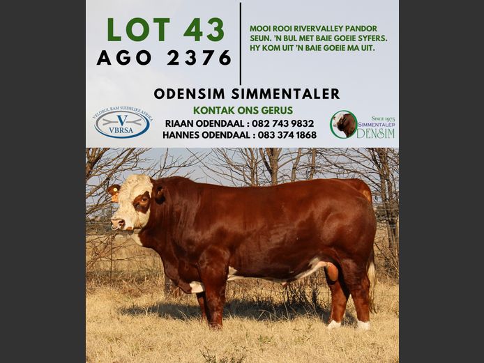 AGO2376 | AG ODENDAAL