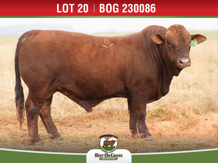 BOG 230086 HH | BEEF ON GRASS PTY LTD