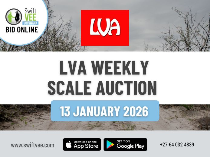 LVA WEEKLY SCALE AUCTION