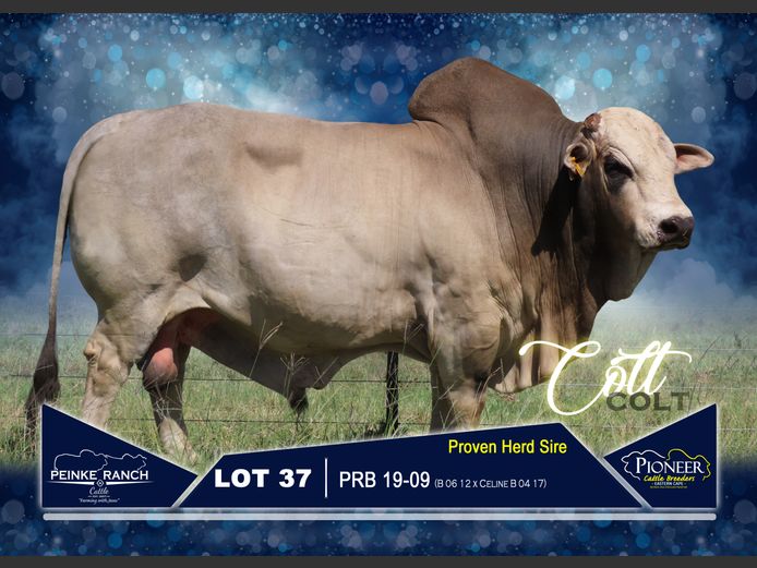 PRB 190009 | PEINKE RANCH