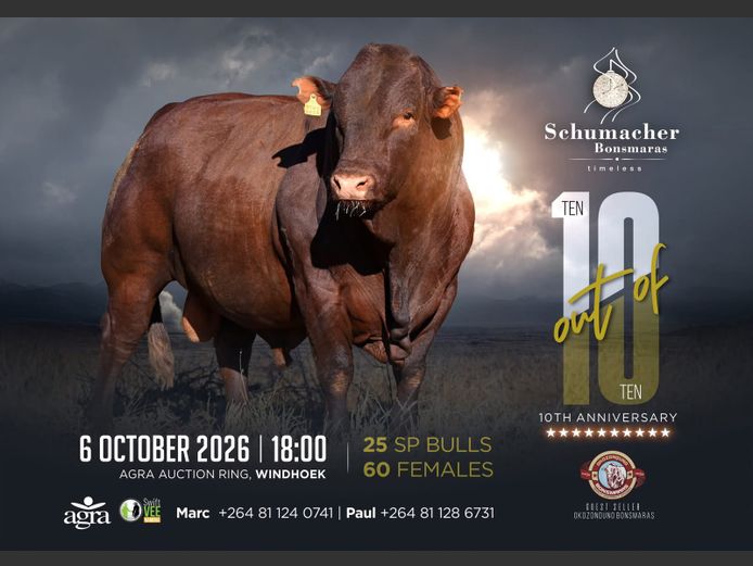 SCHUMACHER BONSMARA 10TH ANNIVERSARY AUCTION