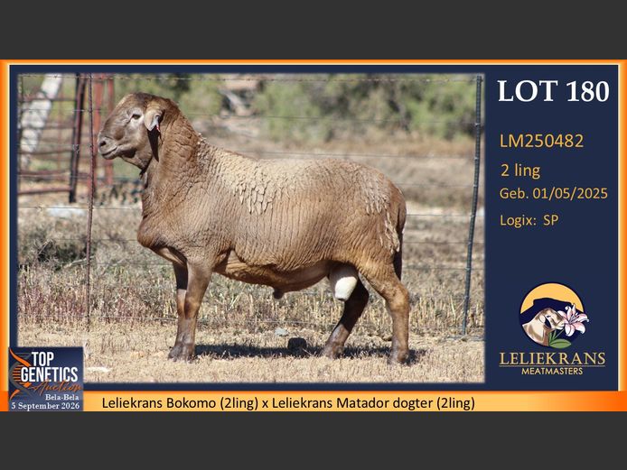 LM250482 | LELIEKRANS MEATMASTERS