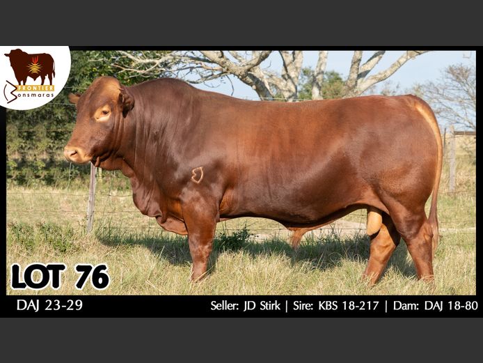 DAJ 230029 | J.D. STIRK