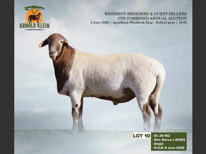 25-162 | ARNOLD KLEIN MEATMASTERS