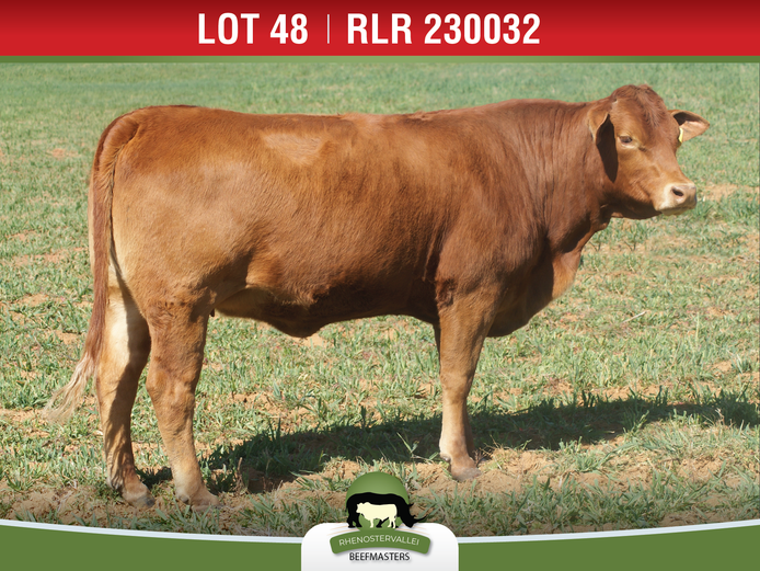 RLR 230032 | J.H. MEYER