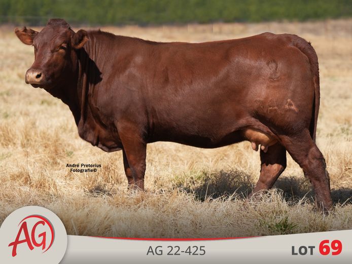 AG220425 | ARTHUR DE VILLIERS & SEUN
