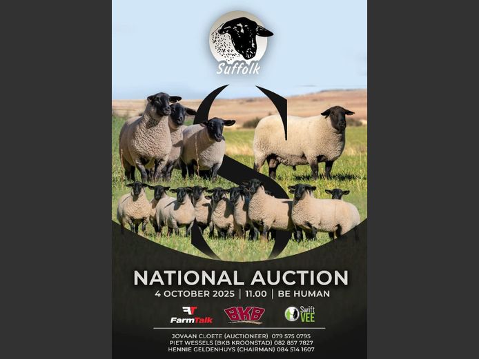 NASIONALE SUFFOLKS VEILING