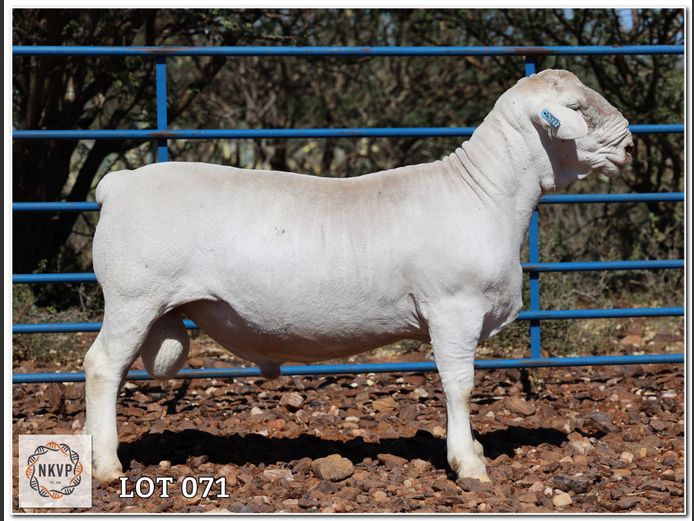 2280 24 0327W | LOUIS J. VAN RENSBURG, H/A MNR. E. VAN RENSBURG