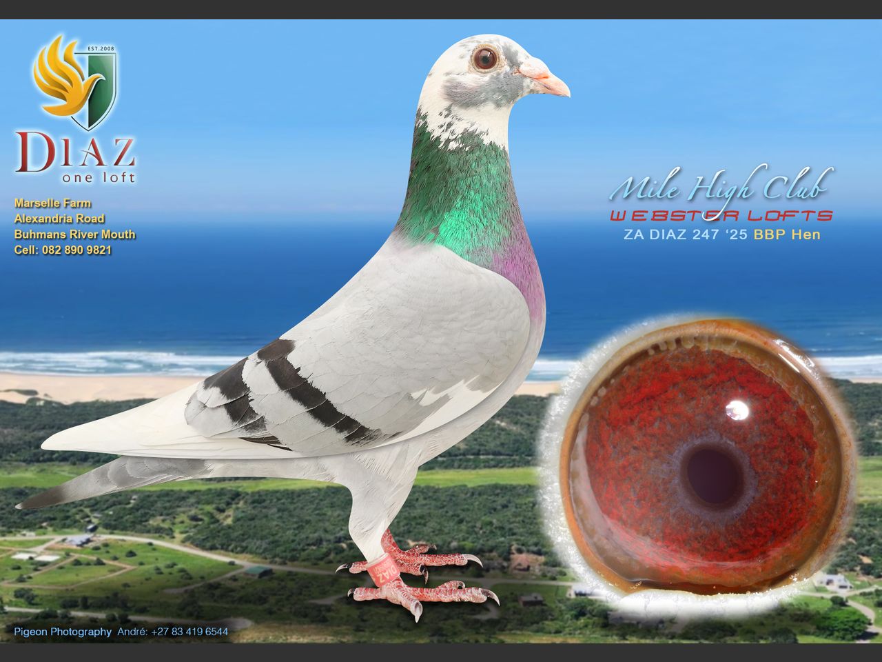 images