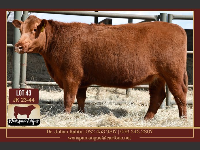 JK 230044 | J. KAHTS
