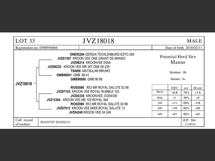 JVZ18-18