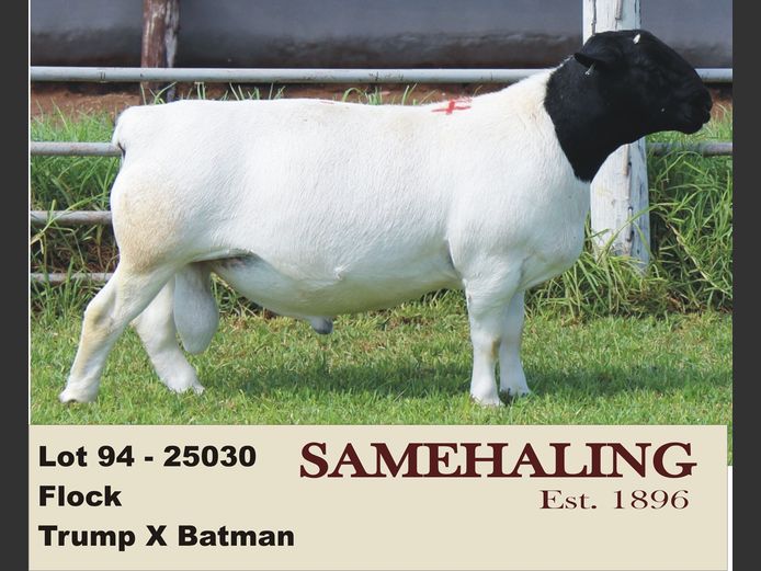 25030-330 | SAMEHALING DORPERS