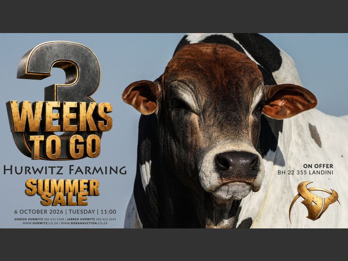 HURWITZ FARMING SUMMER SALE