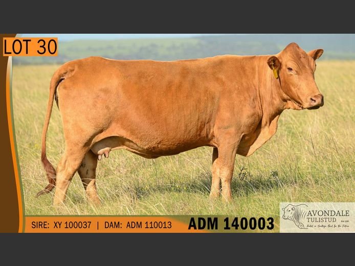 ADM 140003 | A.D. MULLINS