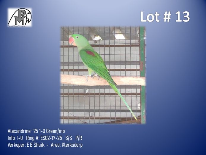 1-0 '25 Alexandrine: Green/ino - E B Shaik