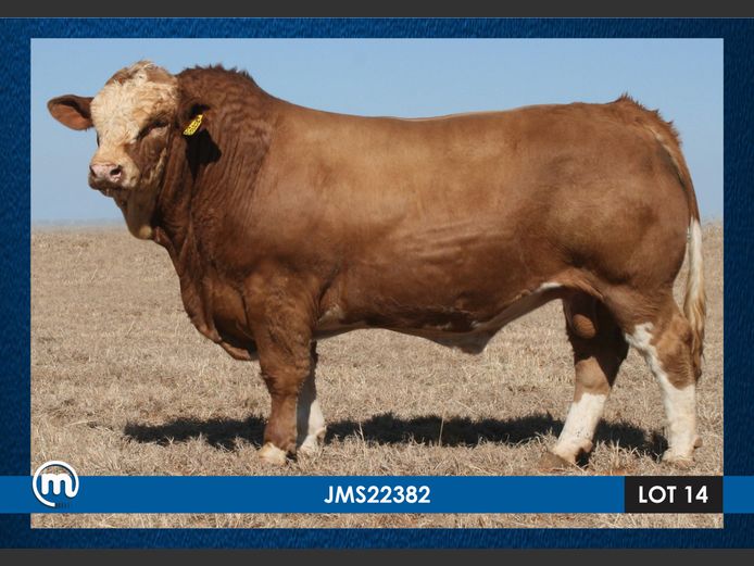 JMS22382