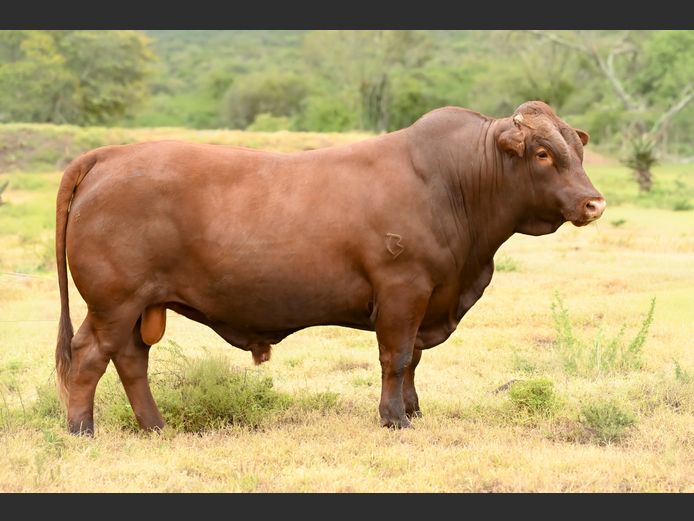 JOY 230160 | FETTING LIVESTOCK TRUST