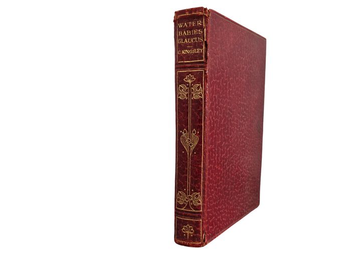 20th Century "The Water Babies and Glaucus" by Charles Kingsley