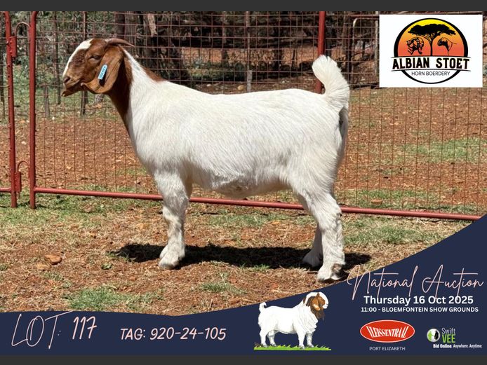 920 240105 | Albie en Louwan Horn