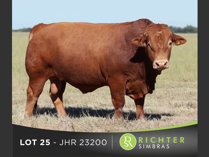 JHR23200