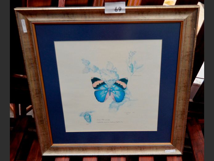 SILVER GILT FRAMED SKETCH " BUTTERFLY" SIGNED DIANA  CARMICHAEL & NUMBERED 8/200, 40.5 x 39.5cm