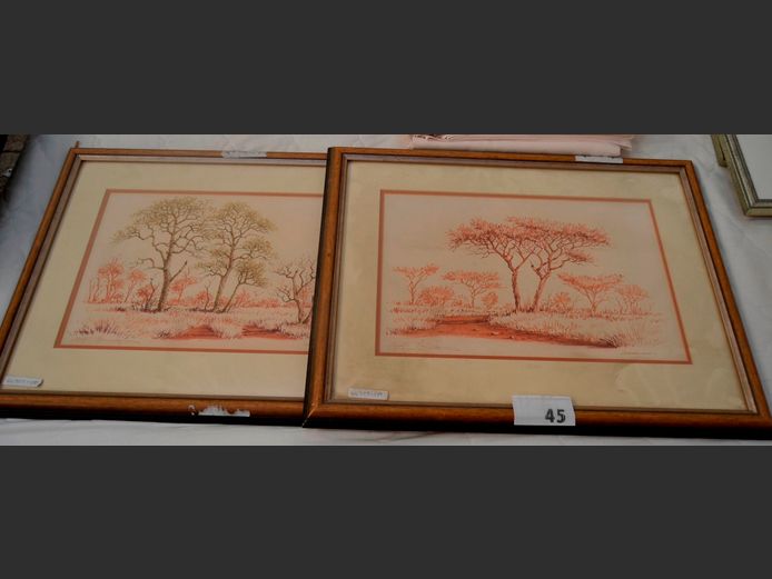 PAIR FRAMED BUSHVELD PRINTS, 38 x 25cm