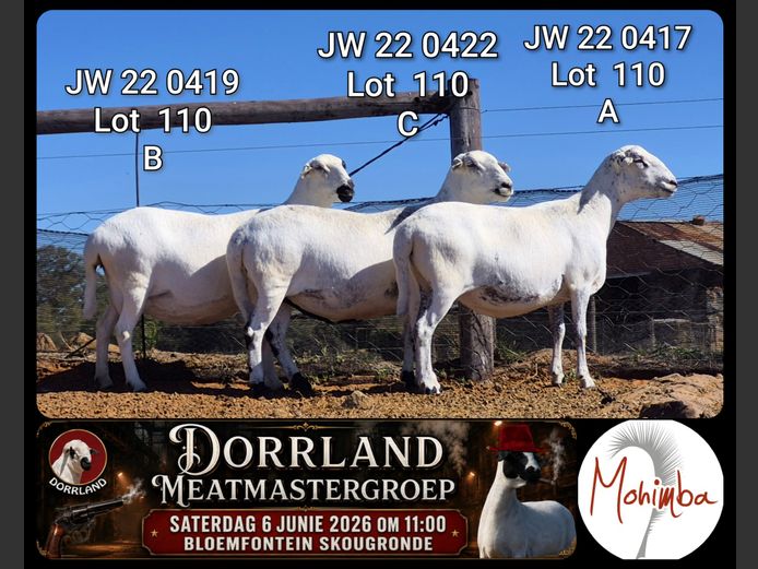 JW 22 0417 | Mohimba Meatmasters