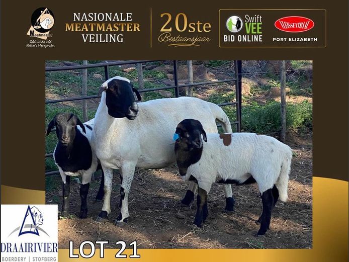 NS 1482 | Draairivier Boerdery