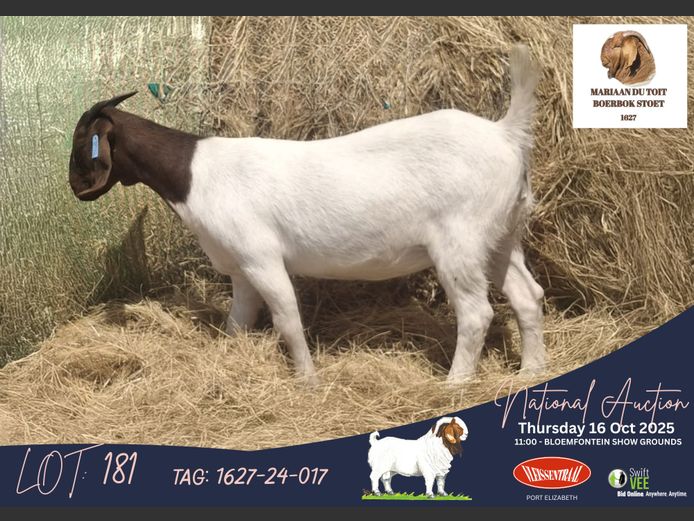 1627240017 | Mariaan du Toit (Mariaan du Toit Boerbokstoet - CMD AGRI (EDMS) )