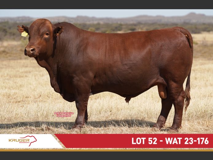 WAT230176 | KRUGER BOERDERY