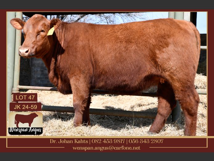 JK240059 | J. KAHTS