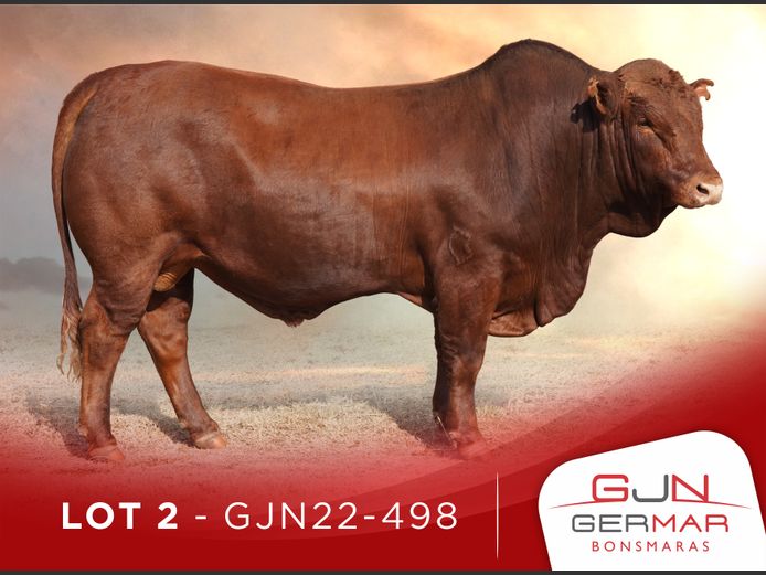GJN220498