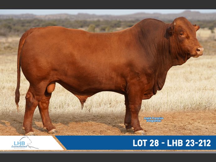 LHB230212 | LEEUHEUWEL BOERDERY (EDMS) BPK