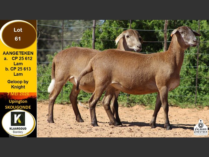 CP 25 612 | KLAARGOUD BOERDERY