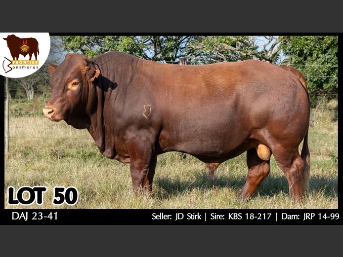 DAJ 230041 | J.D. STIRK