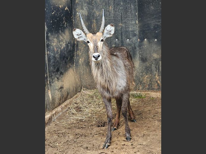 WATERBOK | WATERBERG AVIATION