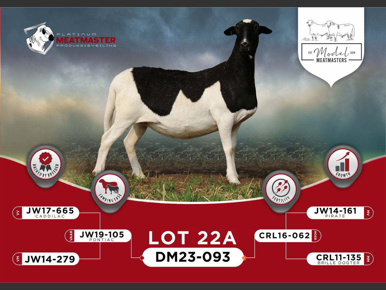 Lot 22A | PLATINUM MEATMASTER PRODUKSIEVEILING | SwiftVEE | South ...