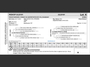 genetic_data
