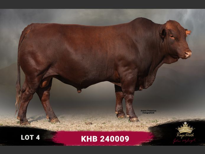 KHB 240009