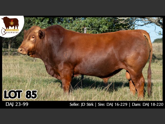 DAJ 230099 | J.D. STIRK