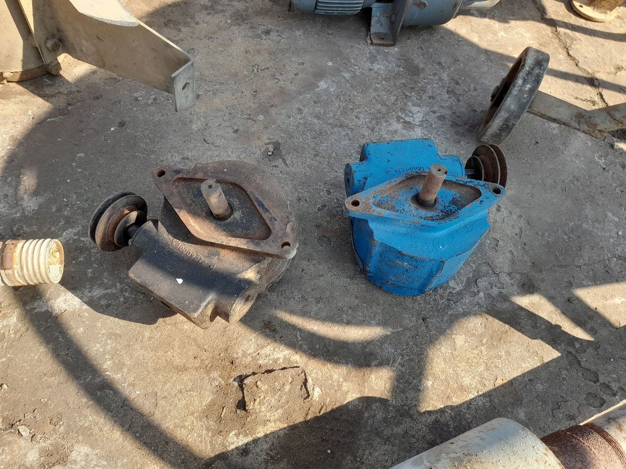 images