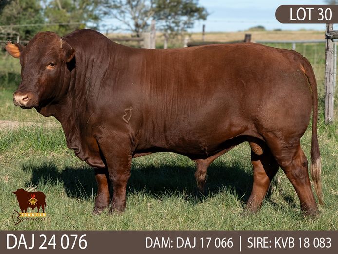 DAJ 240076 | J.D. STIRK