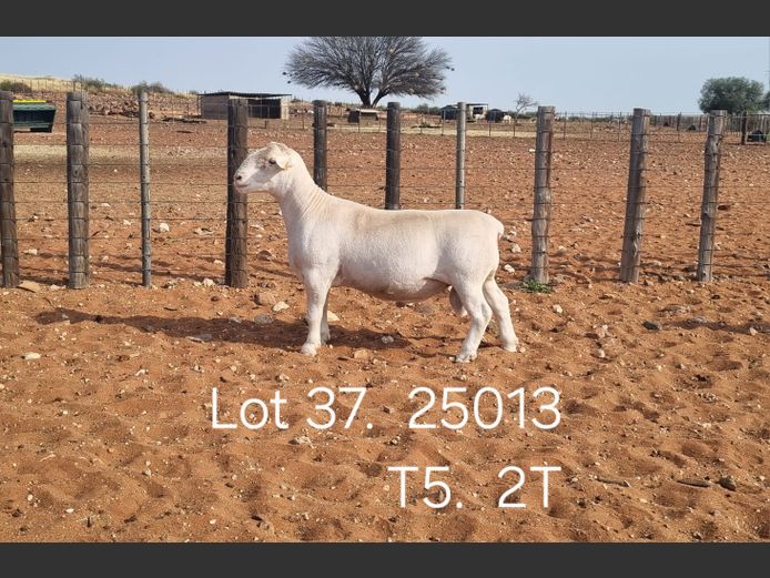 916250013W | R.J. CAHI & SON CC