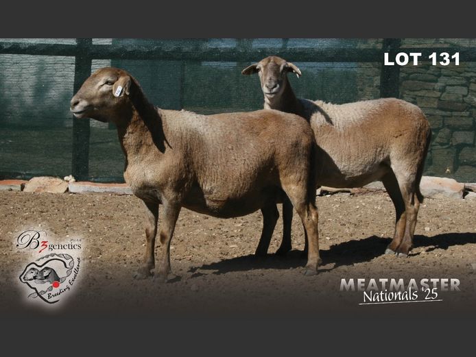 BBB 22 0202 | Charles Freeme - B3genetics Pty Ltd