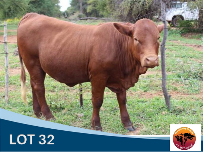 
FA 231018 | F.A. MARITZ