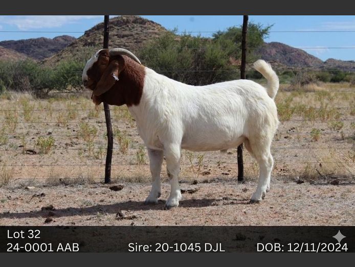 24-0001AAB | AC BOERBOKSTOET