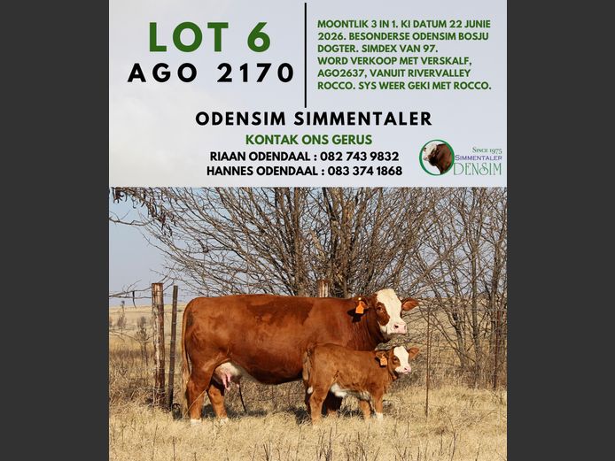 AGO2170 | AG ODENDAAL