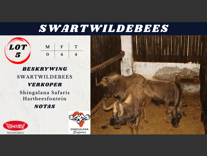 SWARTWILDEBEES