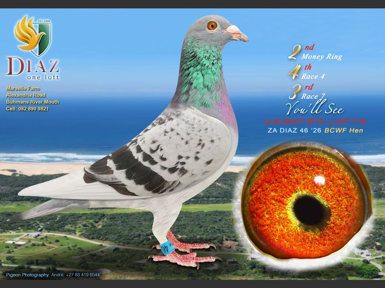 images