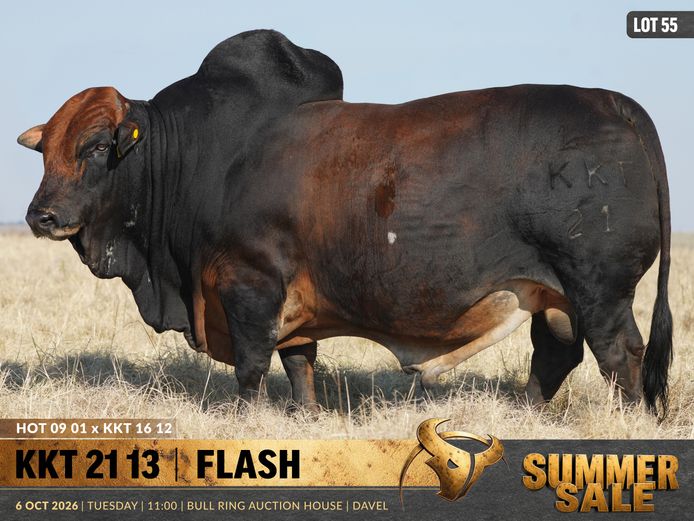 KKT210013 | B. HURWITZ FARMING